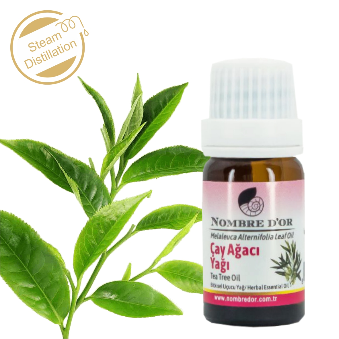 9-Çay Ağacı Yağı